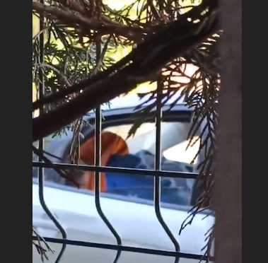 واخد خطيبته في العربية وينيكها – سكس مصري XNXX